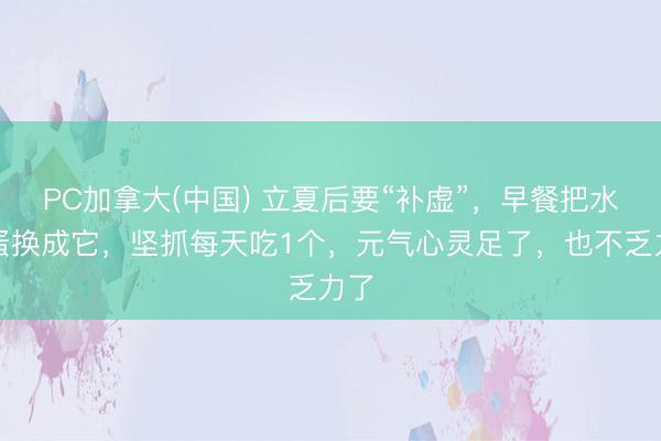 PC加拿大(中国) 立夏后要“补虚”，早餐把水煮蛋换成它，坚抓每天吃1个，元气心灵足了，也不乏力了