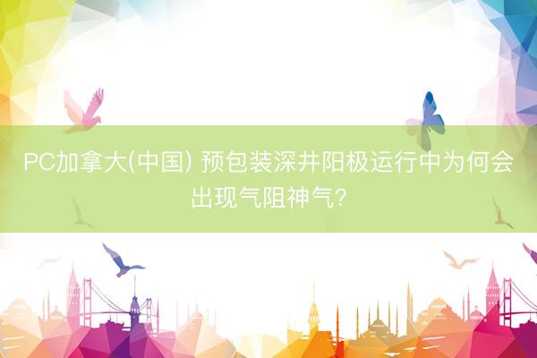 PC加拿大(中国) 预包装深井阳极运行中为何会出现气阻神气？