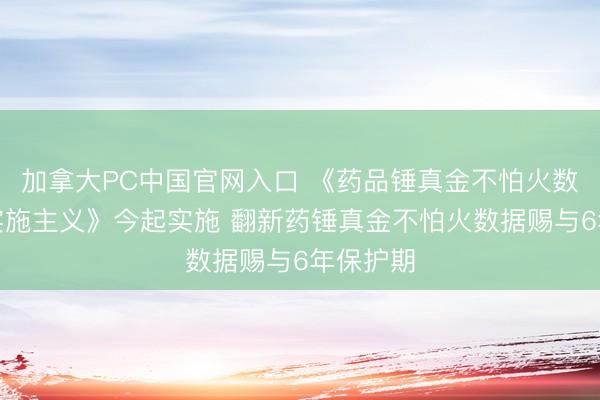 加拿大PC中国官网入口 《药品锤真金不怕火数据保护实施主义》今起实施 翻新药锤真金不怕火数据赐与6年保护期