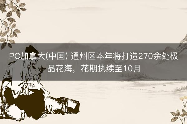 PC加拿大(中国) 通州区本年将打造270余处极品花海，花期执续至10月