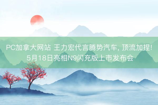 PC加拿大网站 王力宏代言腾势汽车， 顶流加捏! 5月18日亮相N9闪充版上市发布会