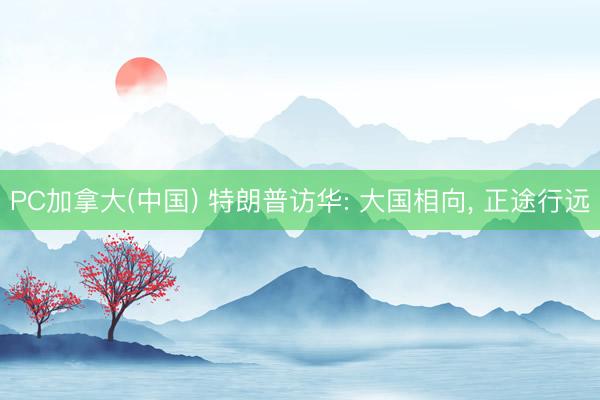 PC加拿大(中国) 特朗普访华: 大国相向， 正途行远