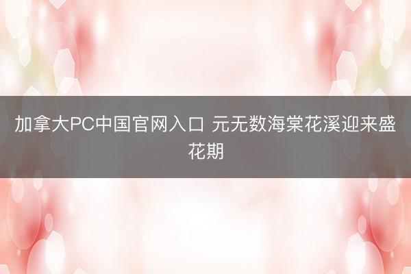 加拿大PC中国官网入口 元无数海棠花溪迎来盛花期