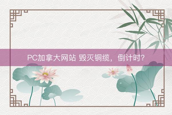 PC加拿大网站 毁灭铜缆，倒计时？