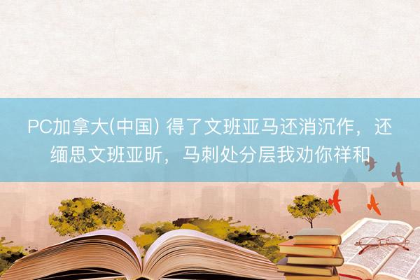 PC加拿大(中国) 得了文班亚马还消沉作,还缅思文班亚昕,马刺处分层我劝你祥和
