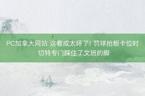 PC加拿大网站 这看成太坏了! 罚球抢板卡位时 切特专门踩住了文班的脚