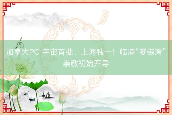 加拿大PC 宇宙首批、上海独一！临港“零碳湾”崇敬初始开导