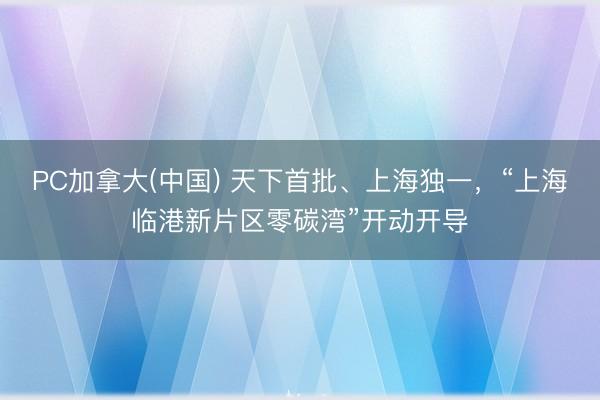 PC加拿大(中国) 天下首批、上海独一,“上海临港新片区零碳湾”开动开导