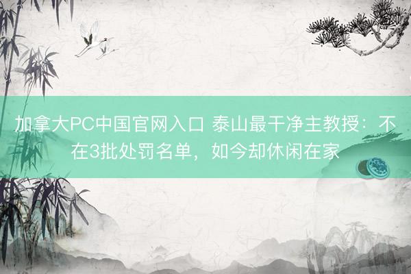 加拿大PC中国官网入口 泰山最干净主教授：不在3批处罚名单，如今却休闲在家
