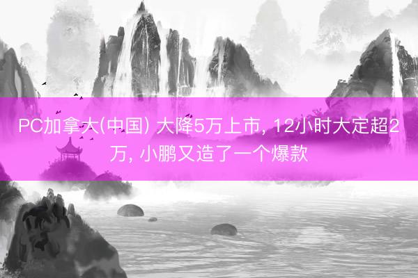 PC加拿大(中国) 大降5万上市, 12小时大定超2万, 小鹏又造了一个爆款