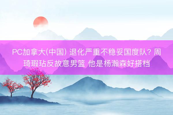 PC加拿大(中国) 退化严重不稳妥国度队? 周琦瑕玷反故意男篮 他是杨瀚森好搭档