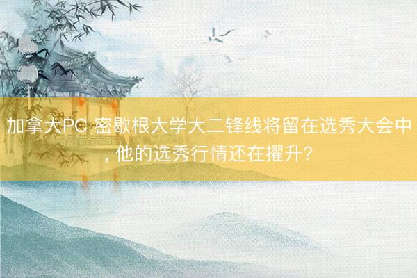 加拿大PC 密歇根大学大二锋线将留在选秀大会中， 他的选秀行情还在擢升?