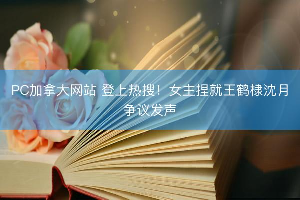 PC加拿大网站 登上热搜！女主捏就王鹤棣沈月争议发声