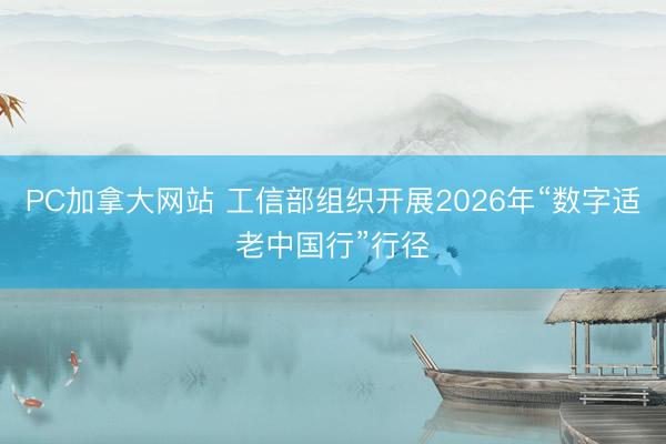 PC加拿大网站 工信部组织开展2026年“数字适老中国行”行径