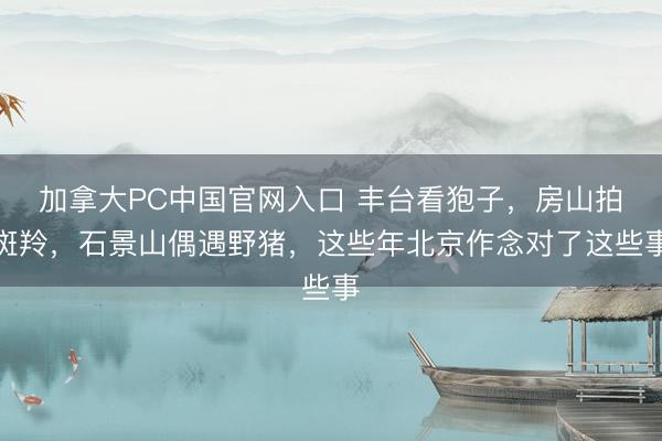 加拿大PC中国官网入口 丰台看狍子，房山拍斑羚，石景山偶遇野猪，这些年北京作念对了这些事