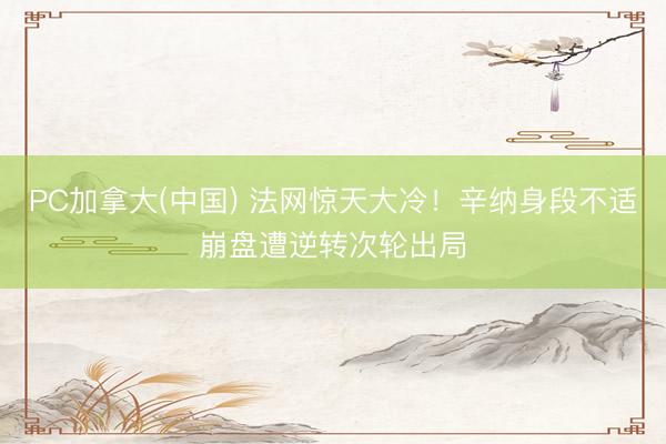 PC加拿大(中国) 法网惊天大冷！辛纳身段不适崩盘遭逆转次轮出局