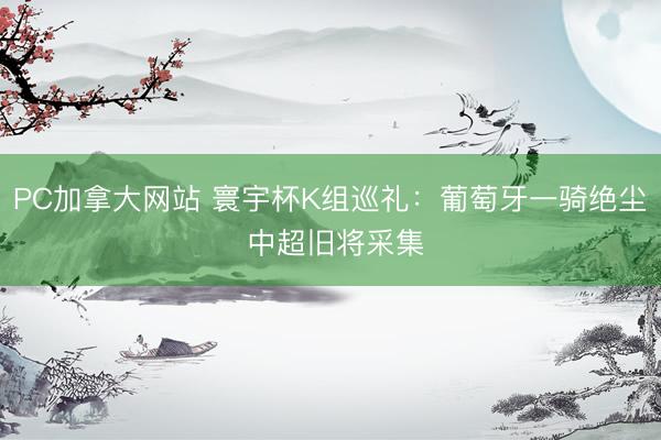 PC加拿大网站 寰宇杯K组巡礼：葡萄牙一骑绝尘 中超旧将采集