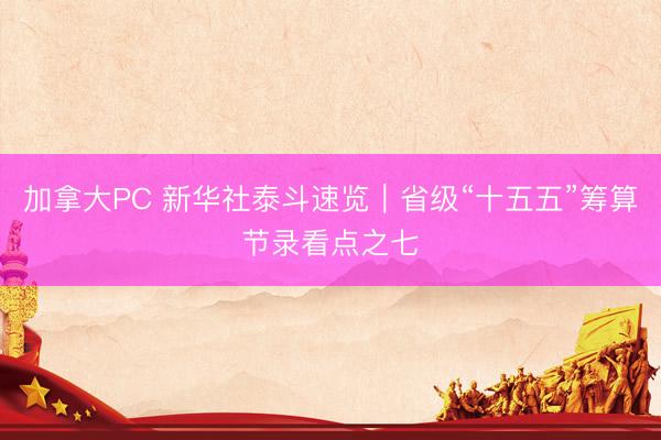 加拿大PC 新华社泰斗速览｜省级“十五五”筹算节录看点之七