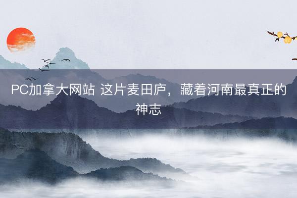 PC加拿大网站 这片麦田庐，藏着河南最真正的神志