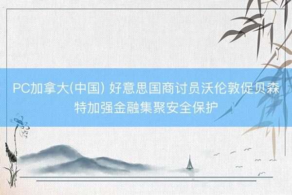 PC加拿大(中国) 好意思国商讨员沃伦敦促贝森特加强金融集聚安全保护