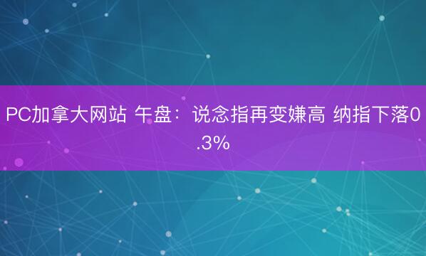 PC加拿大网站 午盘：说念指再变嫌高 纳指下落0.3%