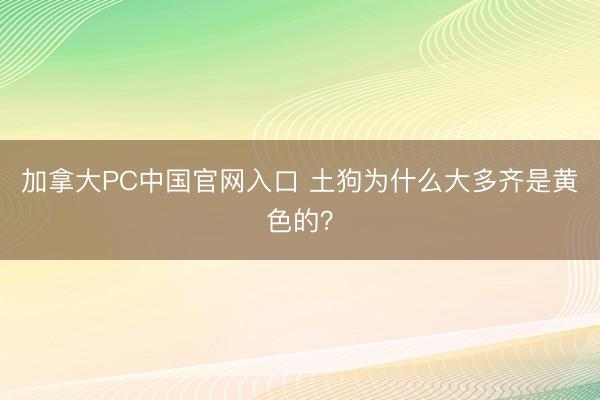 加拿大PC中国官网入口 土狗为什么大多齐是黄色的？