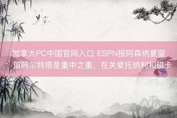 加拿大PC中国官网入口 ESPN报阿森纳夏窗：留阿尔特塔是重中之重，在关爱托纳利和磁卡