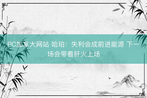 PC加拿大网站 哈珀：失利会成前进能源 下一场会带着肝火上场