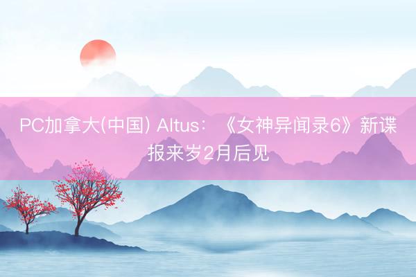 PC加拿大(中国) Altus：《女神异闻录6》新谍报来岁2月后见