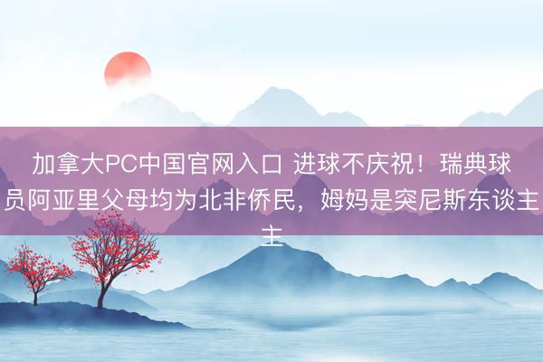 加拿大PC中国官网入口 进球不庆祝！瑞典球员阿亚里父母均为北非侨民，姆妈是突尼斯东谈主