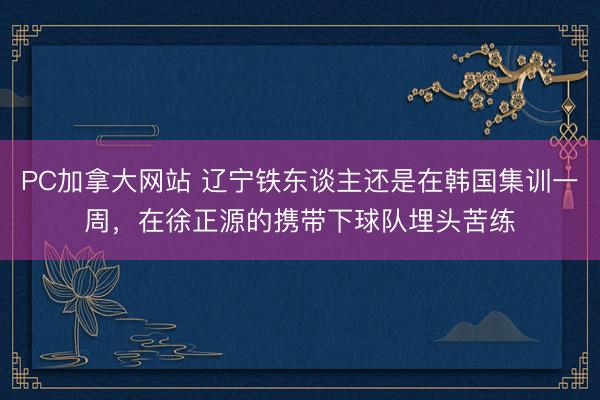 PC加拿大网站 辽宁铁东谈主还是在韩国集训一周，在徐正源的携带下球队埋头苦练