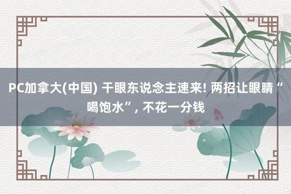 PC加拿大(中国) 干眼东说念主速来! 两招让眼睛“喝饱水”， 不花一分钱